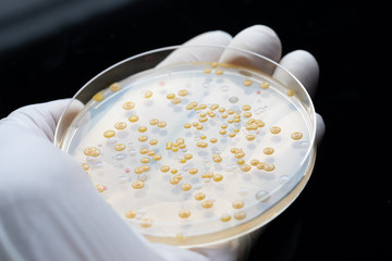 antibiotic resistance: what it is and why it is one of the most serious problems of our times