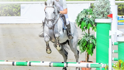 Horse and rider in light uniform performing jump at show jumping competition. Beautiful white horse...