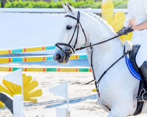Horse and rider in light uniform performing jump at show jumping competition. Beautiful white horse...