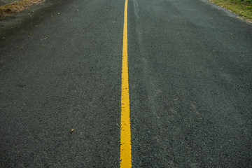 Asphalt road across autumn forest