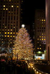 Christmas Tree In New York