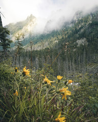 Beautiful hiking path in Hrebienok in Slovakia