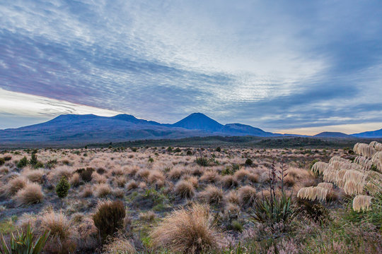 Picture of Mount Ngauruhoe and Mount Ruapehu in the Tongariro National Park on northern island of New Zealand in summer