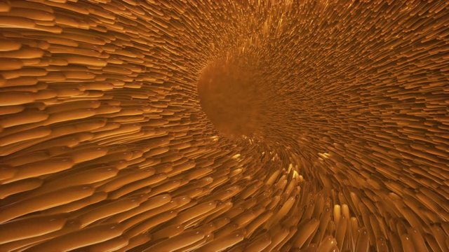 Illustration with villi for medical design. Human digestive system large intestine anatomy. Colon, intestine, digestive system, human anatomy. Colon, bowel. Gut lumen. 4k