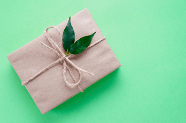 Gift box wrapped in kraft paper tied with twine decorated with two green leaves on trendy neo mint...