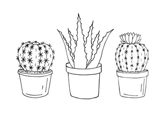 Vector hand drawn doodle sketch set of three cactus and aloe in pots isolated on white background