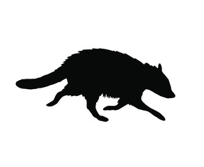 Vector black raccoon silhouette isolated on white background