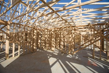 Fototapeta premium 11150145