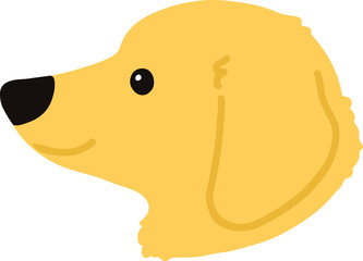 Flat colored golden Miniature Dachshund side face