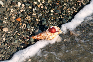 Christmas ball, seashell and pebbles at the beach