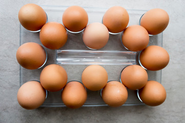 Chicken eggs put in a container