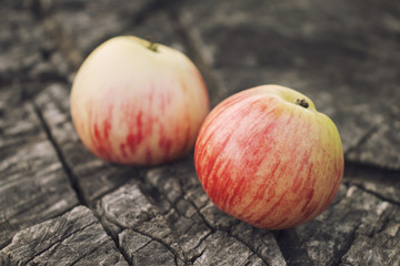 Sweet rustic still life. Bright fragrant apples from their own garden on an old cracked huge stump.