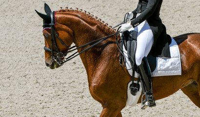 Dressage horse and rider in black uniform.