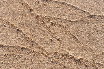Sand texture in sunlight. Beach background. Yellow sand