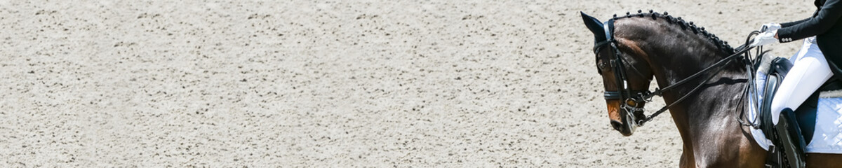 Dressage horse and rider in black uniform. Horizontal banner for website header design. Equestrian sport competition, copy space.