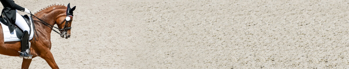 Obraz premium Dressage horse and rider in black uniform. Horizontal banner for website header design. Equestrian sport competition, copy space.