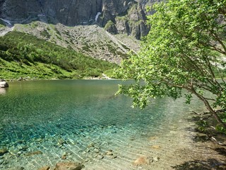 Crystal clear blue turquoise mountain lake water ripple in the summer sunshine tree overhanging large mountains in the background