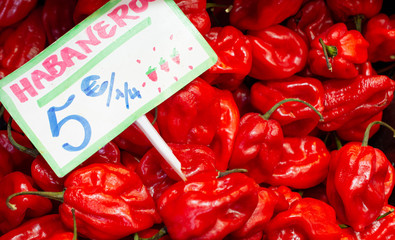 Habanero hot pepper at the market