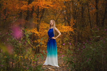 Obraz na płótnie Canvas beautiful woman posing in autumn in forest