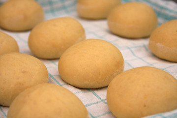 Fototapeta na wymiar Risen yeast dough balls on fabric for making Austrian Carnival Donuts so called Austrian Faschingskrapfen