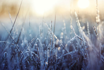 background with grass covered shiny transparent crystals of cold blue frost and snow  in a winter...