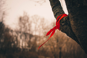 ribbon on wood