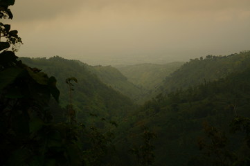 Plateau with a few trees under the foot of the mountain and was once a wilderness