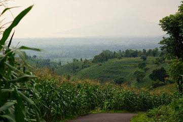 Plateau with a few trees under the foot of the mountain and was once a wilderness