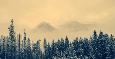 Printed kitchen splashbacks Forest in fog FOG  at   Tatra mountains. Stylized.