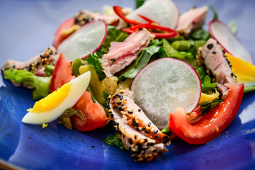 meat salad with vegetable and sesame. spanish kitchen