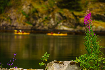 Fjord shore and people kayaking