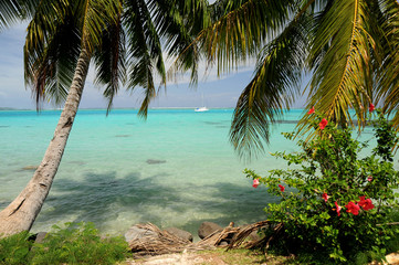 Moorea shoreline, French Polynesia