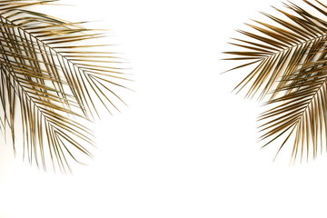 Gold palm leaves frame isolated on a white background. top view. copy space. abstract.