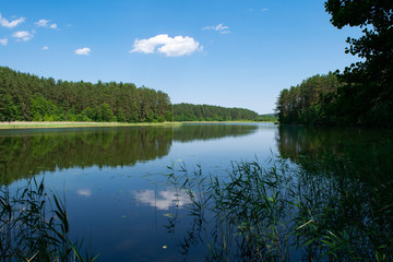 Fototapeta na wymiar Paplovinis Lake outside Ignalina, Lithuania