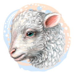 Lamb. Artistic, hand-drawn, color portrait of a lamb's head on a white background in watercolor style.
