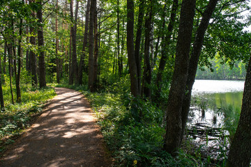 Path by a lake through Aukstaitija National Park, Lithuania