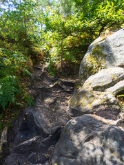 Hiking trail among the rocks in the forest of fontainebleau