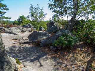 Hiking trail among the rocks in the forest of fontainebleau