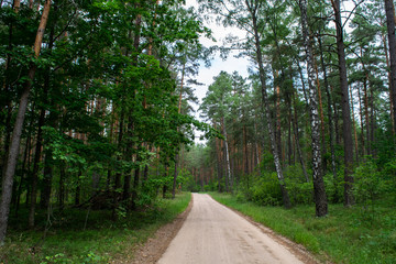 Road through Aukstaitija National Park, Lithuania