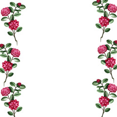 Hand painted floral elements set. Watercolor botanical illustration of eucalyptus, tulip, peony, anemone flowers and leaves. Natural objects