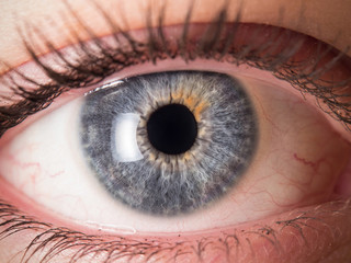 close up of human eye pupil