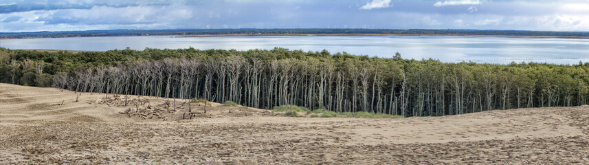 Wydmy - Słowiński Park Narodowy - Łeba - Bałtyk  © sanzios