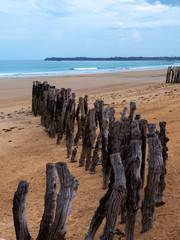 An old wooden breakwaters on the coastline.