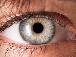Human eye close up medical detail