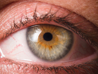 Human eye close up medical detail