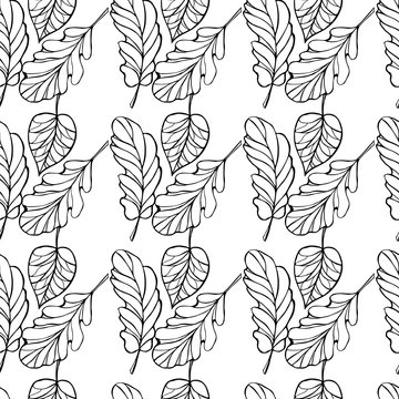 Hand draw outline black leaves on white background. seamless pattern. Trendy design concept for fashion textile print.