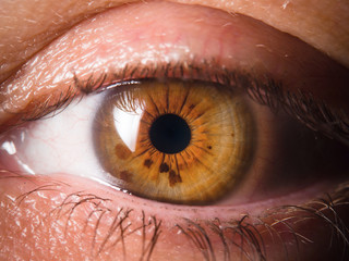 Human eye close up medical detail