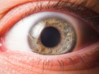 Human eye close up medical detail