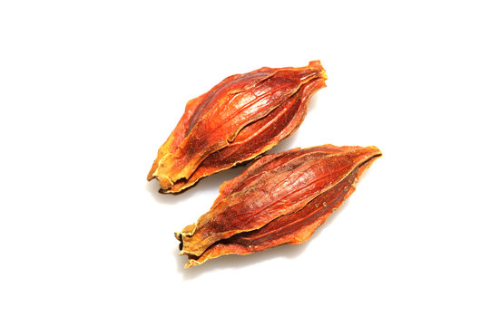 くちなしの実 の画像 535 件の Stock 写真 ベクターおよびビデオ Adobe Stock