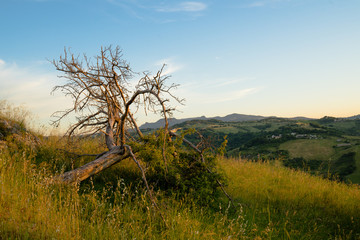 Landscape in San Marino with view to Marecchia valley